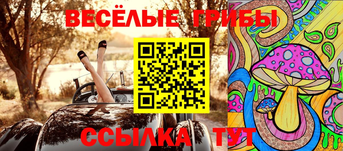 Псилоцибиновые грибы Psilocybe  где купить наркотик  Псилоцибиновые грибы Psilocybe  Владимир  Вход с VPN 